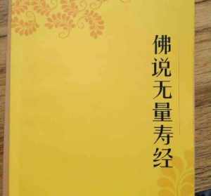 佛教讲解无量寿经全集下载 佛教讲解无量寿经全集