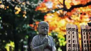 免费修行寺院 免费修行的女寺庙日记