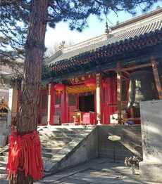 仁德法师讲法视频 仁德法师寺院2集