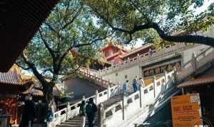 2024年海丰寺庙开放吗 海丰县佛教协会