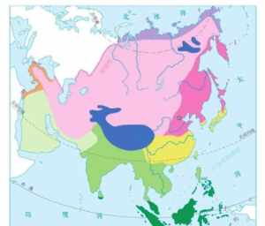 佛教四大州地图 佛教四大洲地图