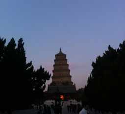 寺庙塔里面有什么东西 中国寺庙里有塔