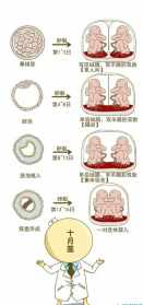 佛说生双胞胎姻缘 佛教讲生双胞胎