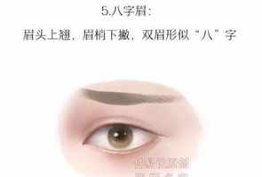 佛学红眉毛 红眉毛好不好