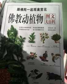 佛教对动植物的 佛教对动植物的看法