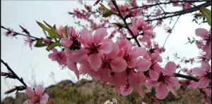 山里的寺庙 山峰上的寺庙