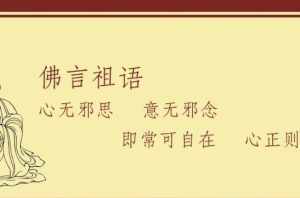 佛教.妄言 佛教妄言是什么意思