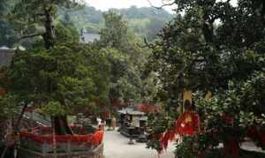 宁波佛教寺院 宁波的佛寺