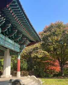 韩国著名的寺庙 韩国寺庙体验