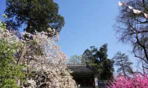 广东花都区寺庙 花都寺庙有没有开放