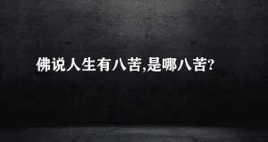 佛法里人生的苦有几种解释 佛法里人生的苦有几种