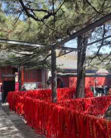 2024北京新年祈福寺庙 北京为逝者祈福寺院