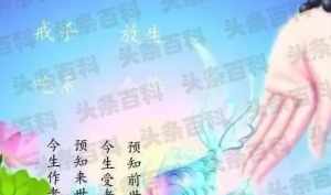 戒杀生的佛语 学佛人犯了杀戒