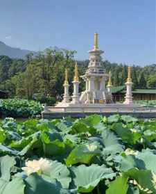 广西有寺庙可以修行几天吗 广西修净土宗的寺庙