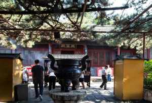 北京寺庙放生2024 北京市区放生的地方