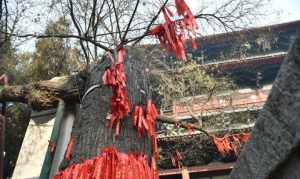 正定有个寺庙 河北石家庄正定县寺庙