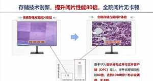 地藏洞的读音 地藏洞的读音怎么读