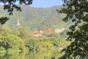 弘法寺阿弥陀经视频 深圳弘法寺唱阿弥陀佛经