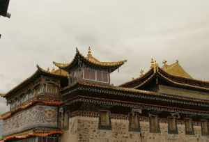 佐钦寺院 佐钦寺佛学院