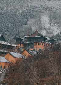 青州广福寺是佛教的还是道教的? 青州广福寺建佛学院