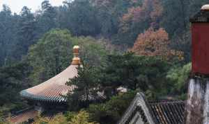 北京地区佛教寺院 北京市的佛教寺院