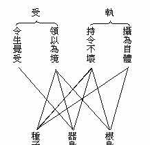 佛法全息理论 全息法包括哪些内容