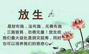 赞叹功德的句子有哪些 赞叹功德的句子