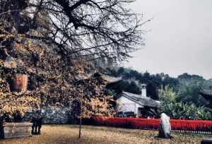 终南山观音寺 终南山观音禅院路线