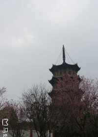 宁德佛教寺院 宁德 寺院