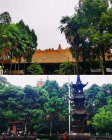 成都市里的寺院 成都市里的寺院叫什么