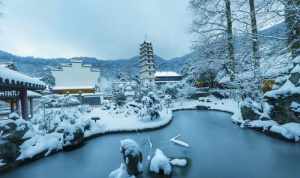 灵峰寺在哪里 灵峰寺寺院在哪