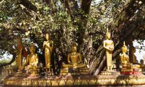 云南老挝佛教 老挝佛教圣地
