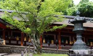 日本有多少佛教寺院 日本有多少寺院神庙