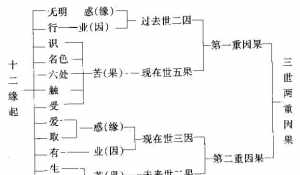 佛教打五蕴 佛教说的五蕴