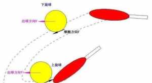 圣严法师最后一次专访 圣严法师圆寂前