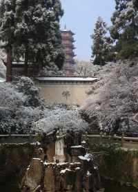 大庆寺院招聘义工 大庆市寺院