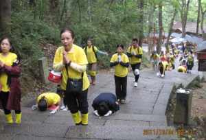 潼南露营地推荐 兄弟们，可不可以安排一波日本的景色，上图最好啦，有何分享