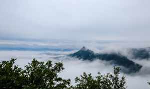 御龙观音大势至 新入翡翠神龙护主题材，各位大神帮看看，种水那些怎么样，啥价位