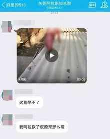 佛教 挂单 学佛开挂