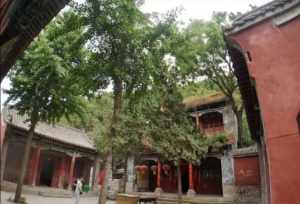 安阳什么寺院 安阳的寺院