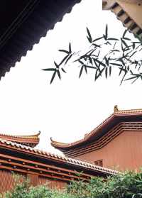 广州寺院清修时间表 广州寺院清修