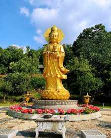 江夏灵泉寺有送子观音菩萨吗 黄陂 石观音寺