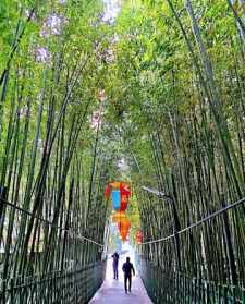 寺院祈福姓名地址 寺庙祈福写名字