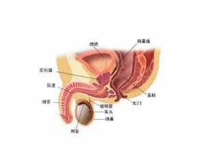 肾虚学佛 肾病从佛学上讲怎么治疗