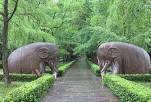 大慈灵和尚觉灵神道碑 大慈寺觉印法师简历