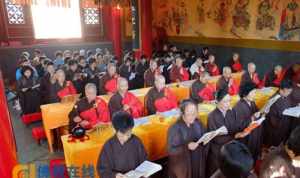 天津荐福观音寺树流血 天津建福观音寺出家