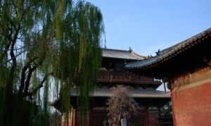 天津佛教寺院 天津一个寺院