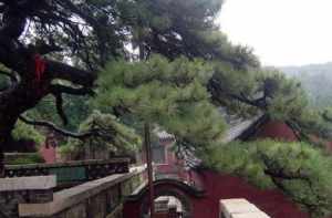 泰山可以静修的寺庙 泰山佛教寺院