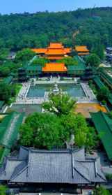 绥化东林寺院 东林寺咨询电话