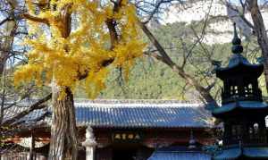 济南寺院都有哪些 济南有寺院